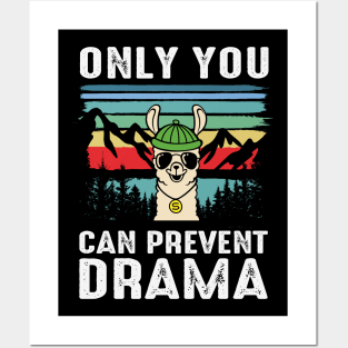 Only You Can Prevent Drama Posters and Art